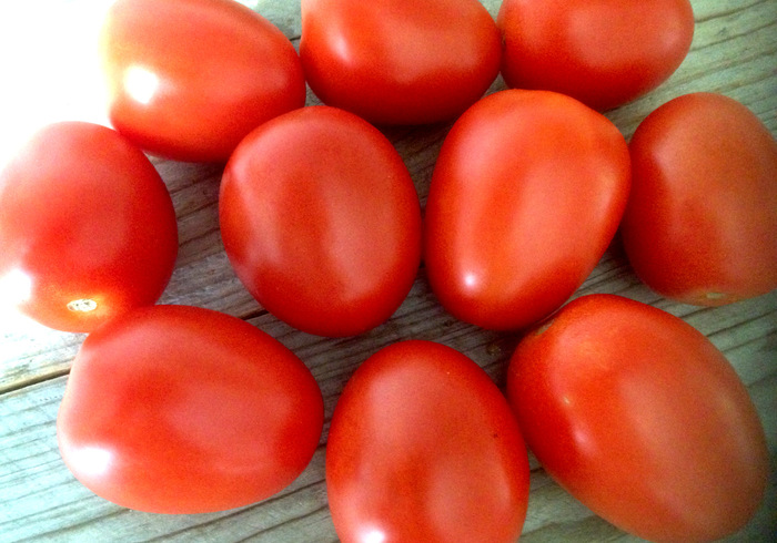 Verse passata sidepic