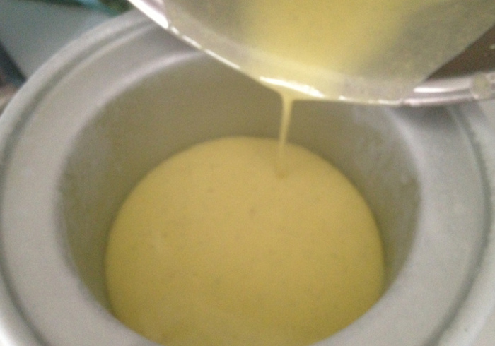 Pistachio ice cream 12