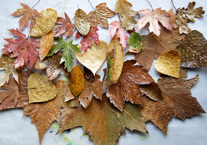 Autumn picture frame side