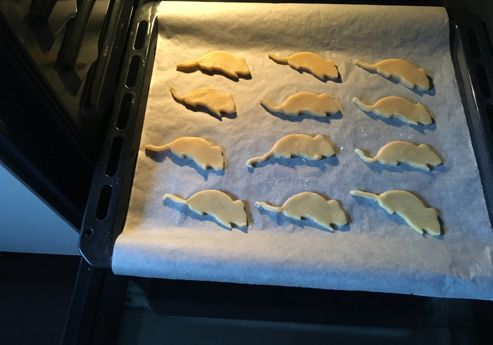 Muizenkoekjes 12