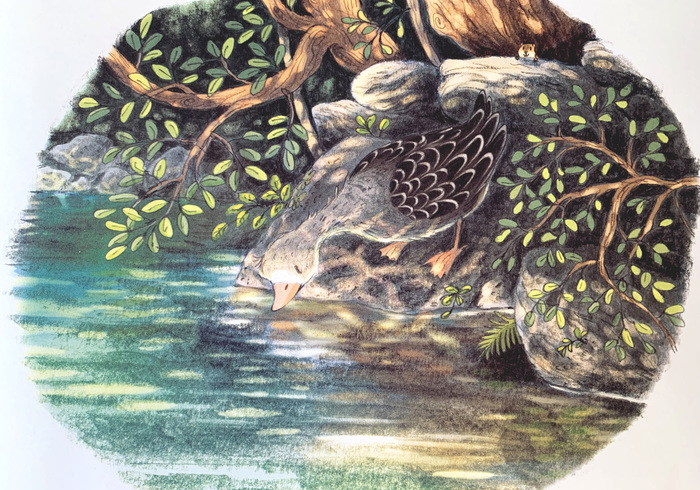 De herfst van kleine gans 02