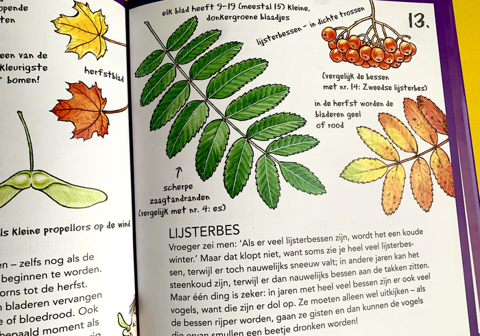 Ik ken al 25 bomen 02