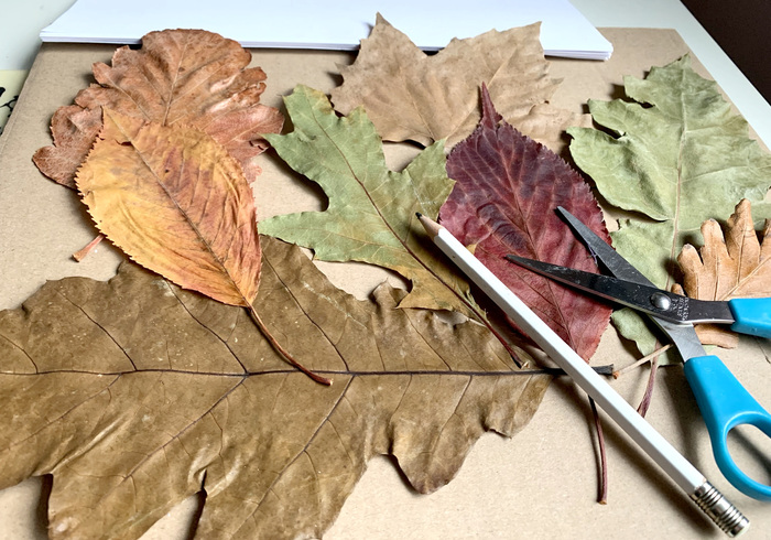 Herfstblaadjes knippen sidepic