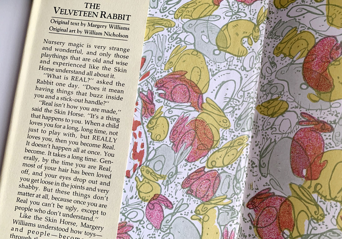 The velveteen rabbit sidepicll