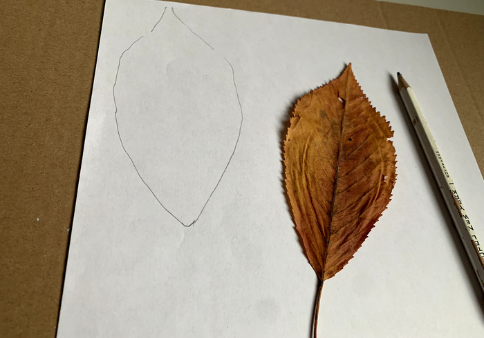 Herfstblaadjes knippen 01
