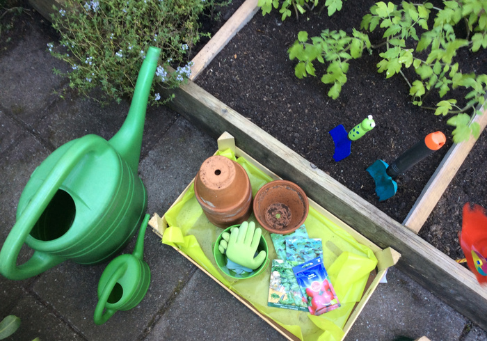 Redo kitchen garden homepage