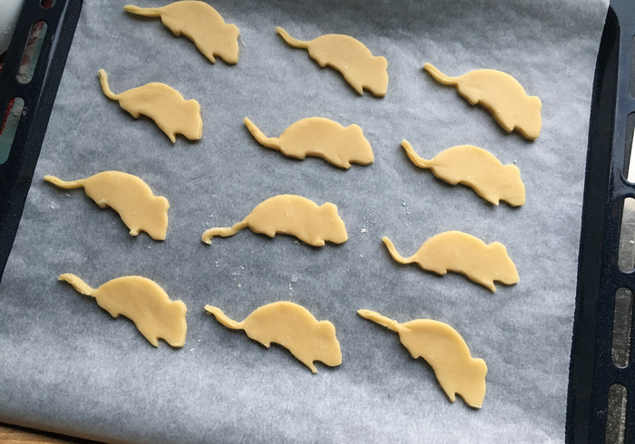 Muizenkoekjes 10