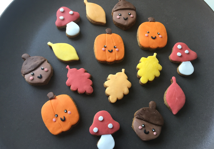 Kruidige herfstkoekjes 16