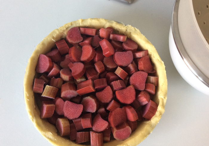 Ireland rhubarb pie 11