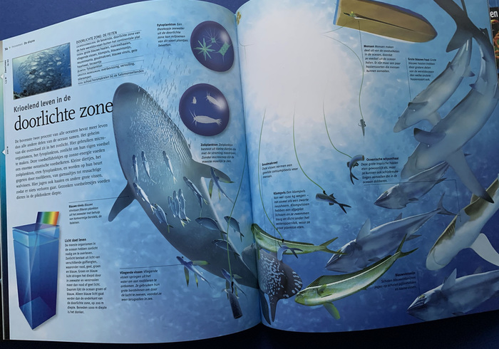 Oceanen insiders 03