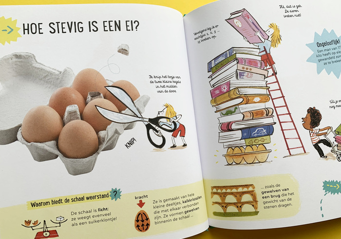 Wetenschap van het ei 02