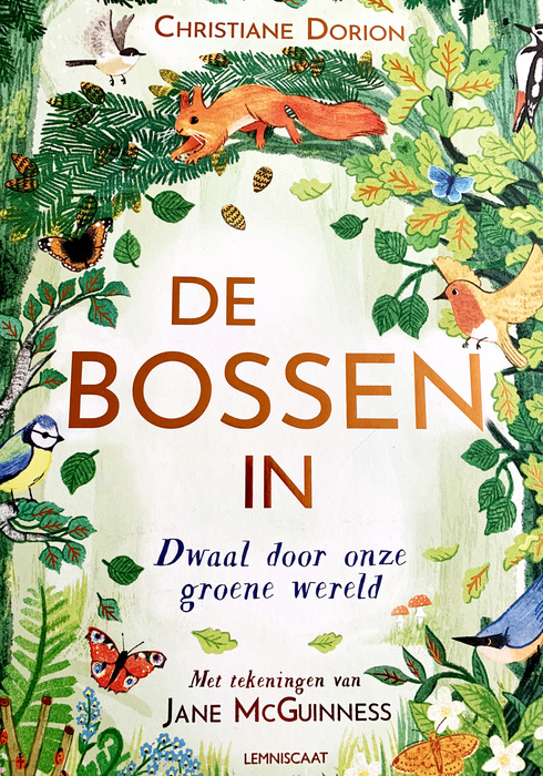 De bossen in 01