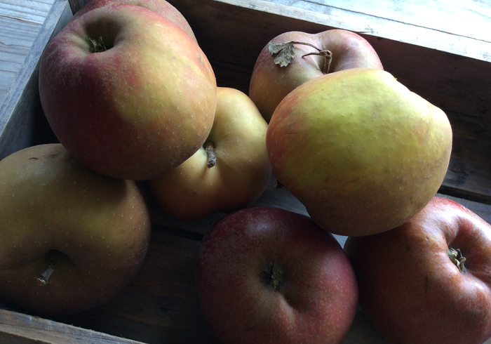 Dutch apple pie side