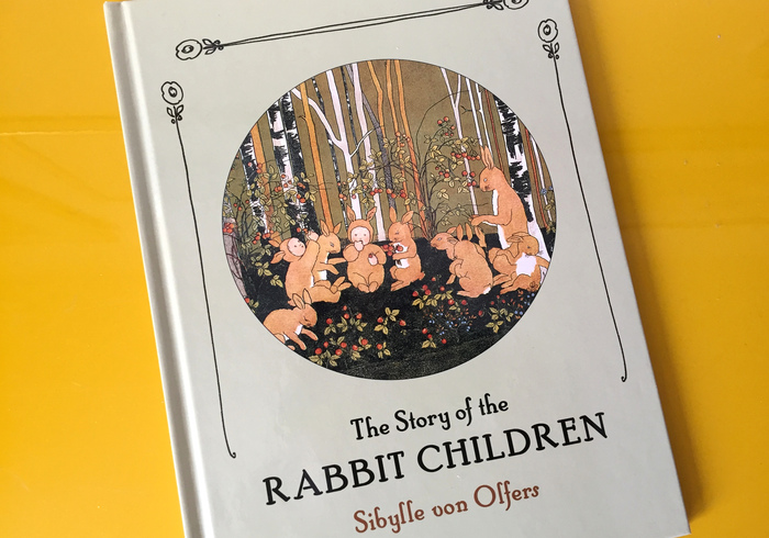 The storey of the rabbit children home