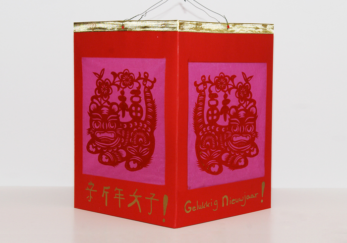 Chinese lantern home