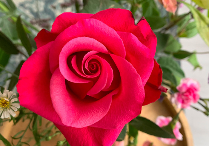 Valentijn 2015