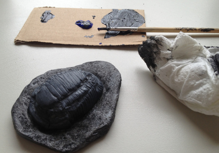 Trilobite 27
