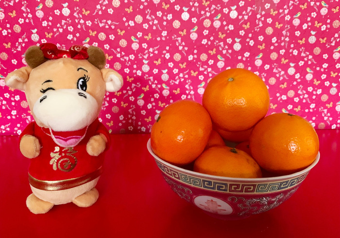 Chinees nieuwjaar 2019