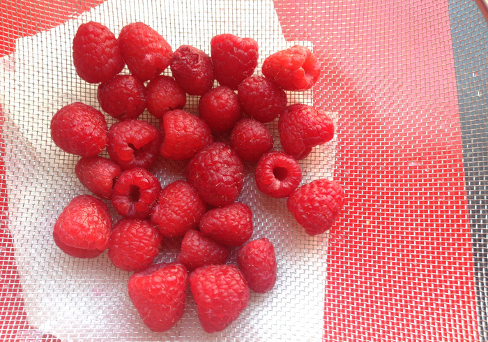 Raspberry cream bites 05