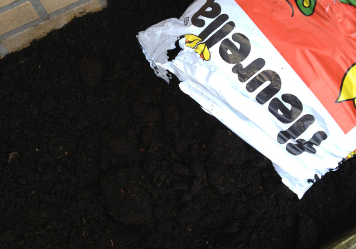 Moestuin 04