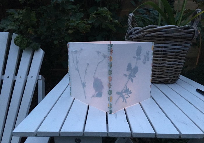 Lantaarn droogbloemen home