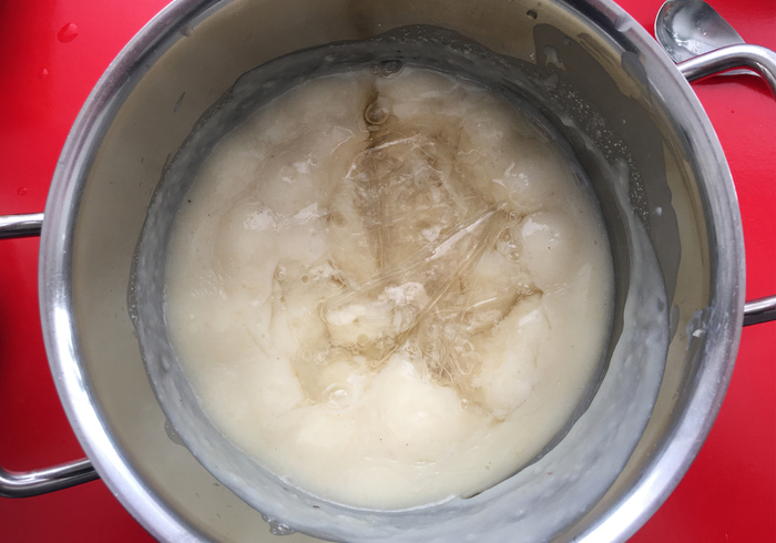 Aardbeien blancmange 05