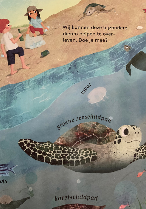 Zeeschildpadden 04