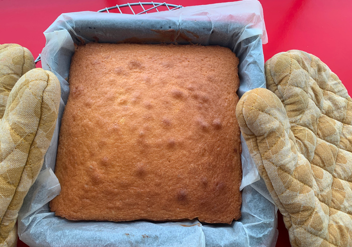 Sprinkle sponge cake 07