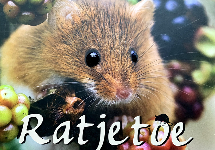 Ratjetoe homepage