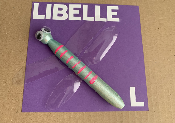 Libelle 06