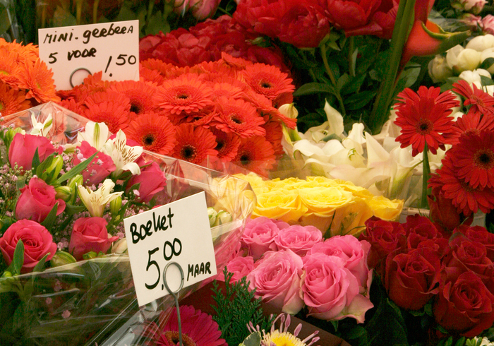 Markt rotterdam 15