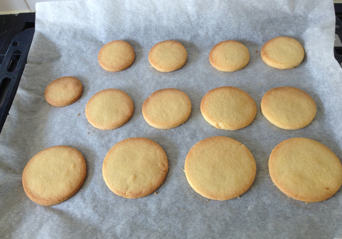 Planet biscuits 13