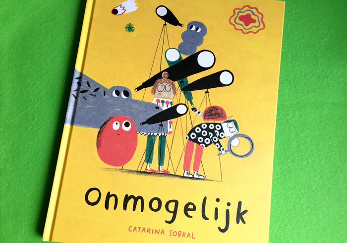 Onmogelijk sidepic