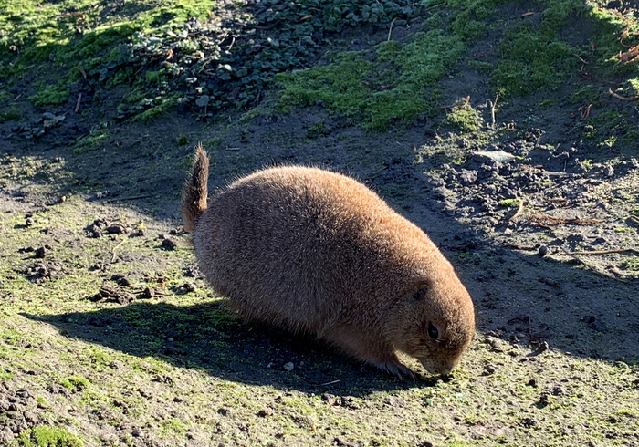 Blijdorp 16