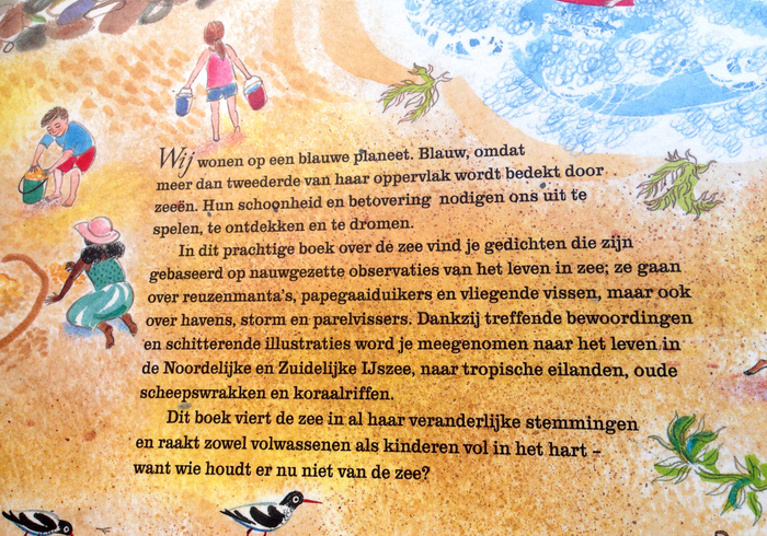 Dit is de zee sidepicll