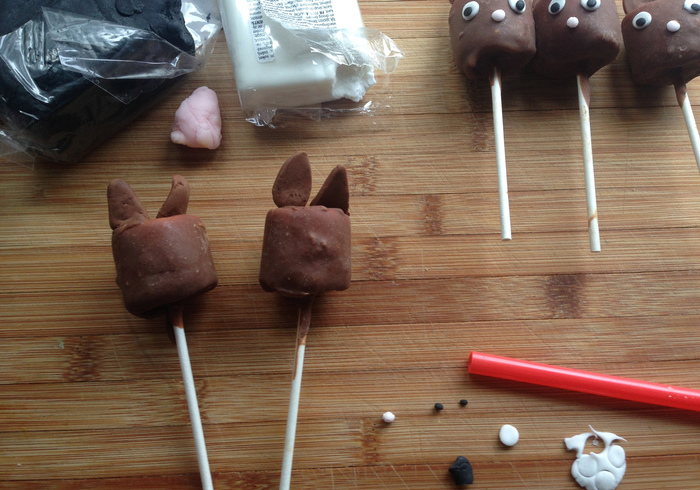 Paas lollies 11