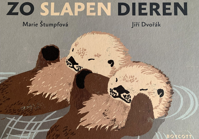 Snazzies boeken 2019 06