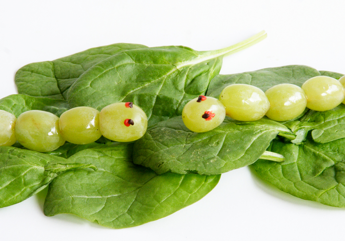 Hungry caterpillar treat home