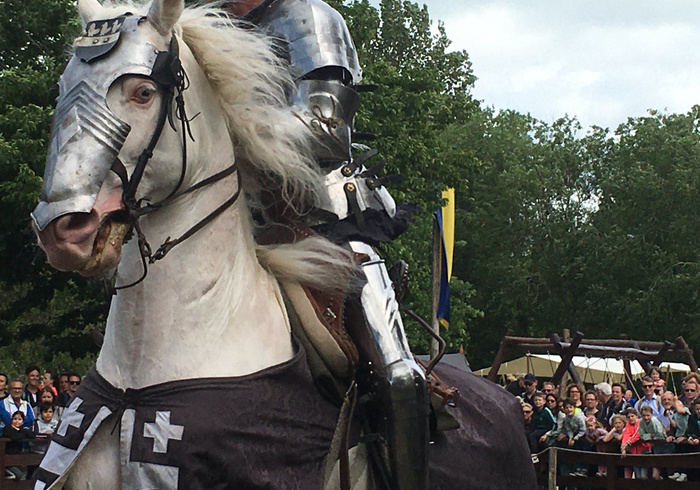 Archeon ridder festival 05