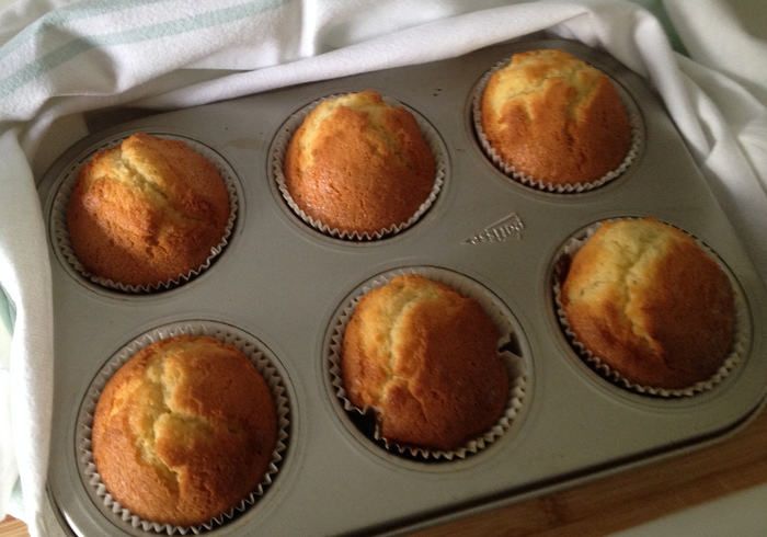 Muffins with blueberry sidell