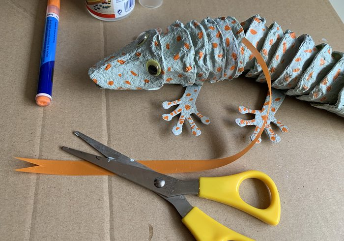 Sint surprise gekko 20