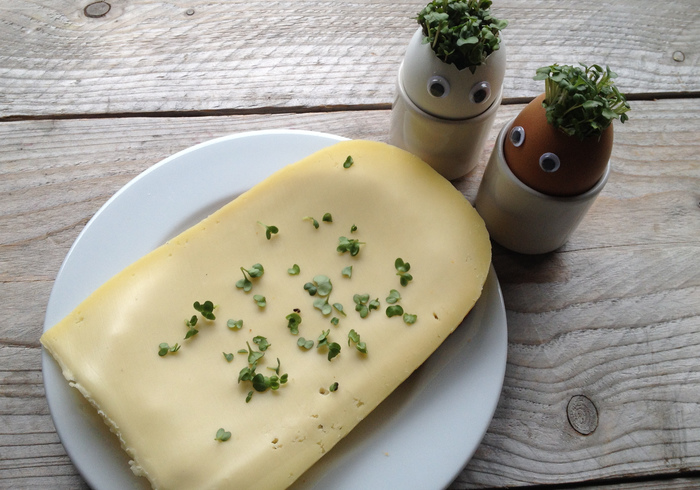 Cress eggs promo