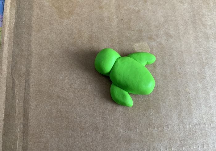 Zeeschildpadjes 11