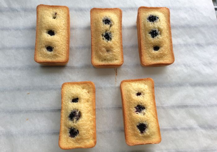 Blackberry financiers 14