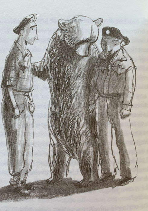 Soldaat wojtek soldier bear 03