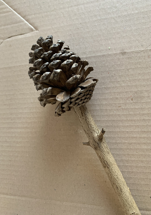 Herfstboom 06