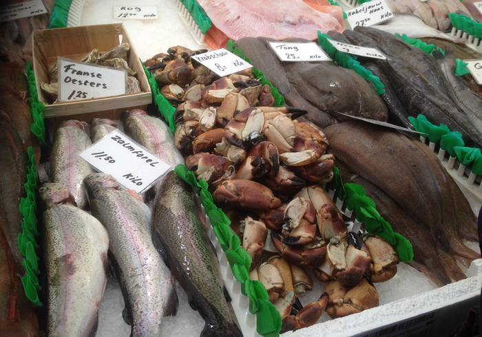 Markt rotterdam 06