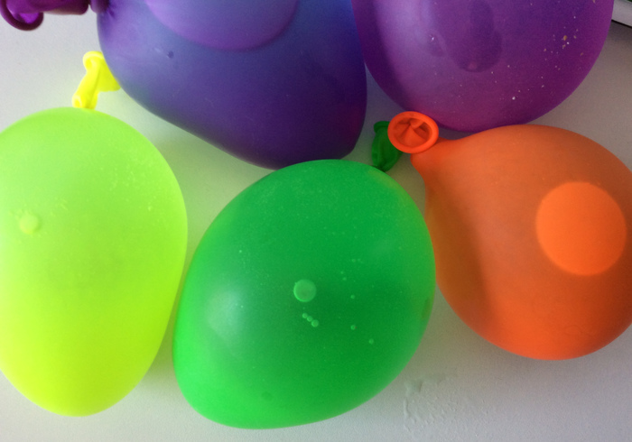 Dinosaur eggs 05