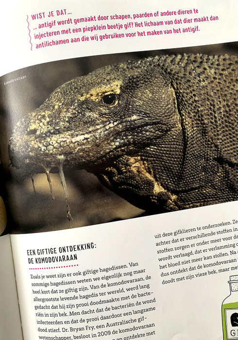 Het grote reptielenboek 04
