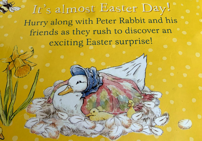 Peter rabbit easter surprise sidepic